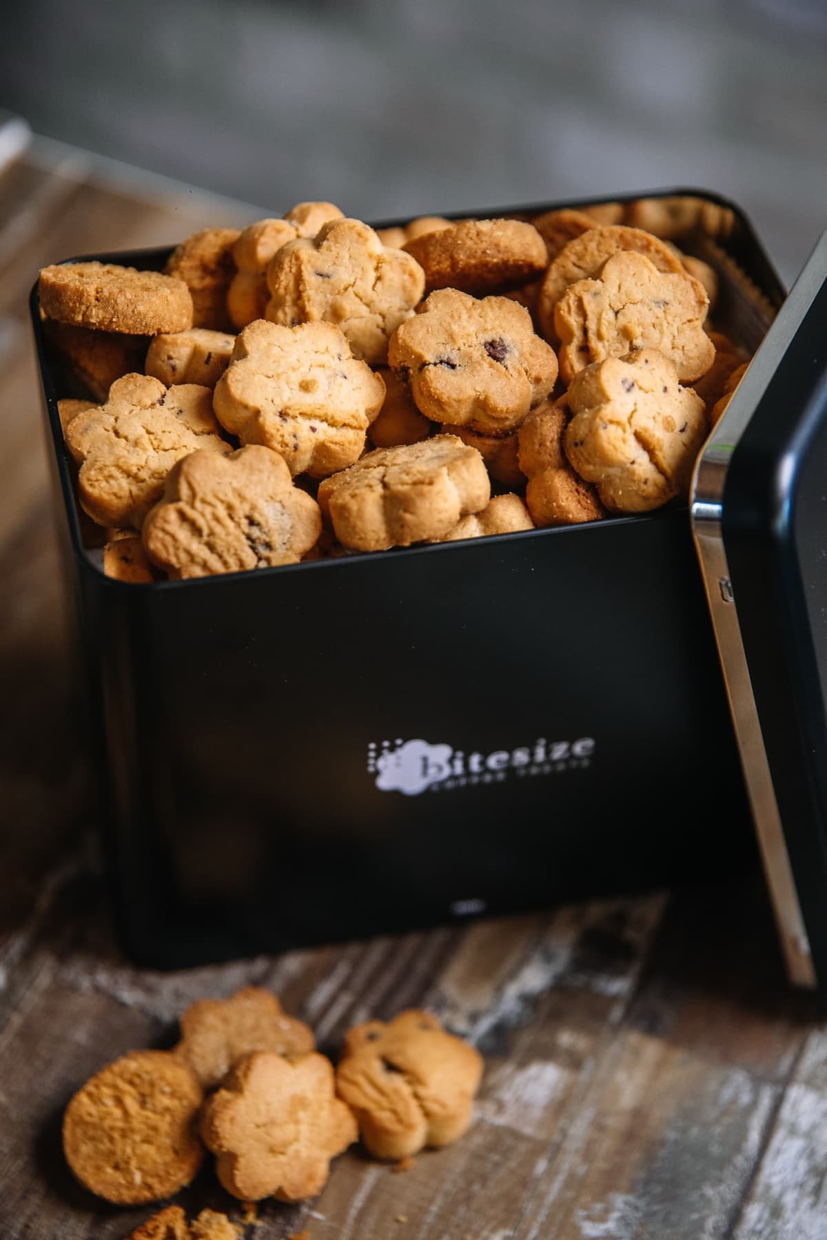 Campaign photography – SHOT%20BY%20ONECUT%20STUDIOS 31