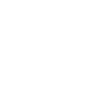 Cat and Fiddle